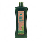 SHAMPOING BIOKERA CHEVEUX GRAS