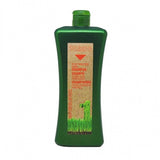 SHAMPOING BIOKERA CHEVEUX COLORÉS ET TRAITÉS